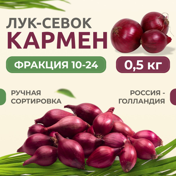 Лук севок на посадку весной Кармен 0,5 кг (красный) купить на OZON по ...