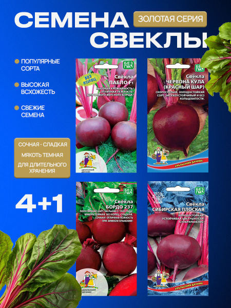 Свекла Семена свеклы - купить по выгодным ценам в интернет-магазине ...