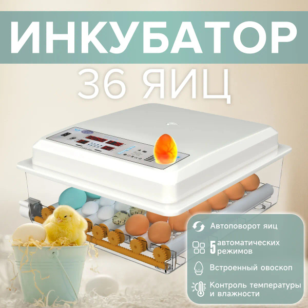 Инкубатор для яиц автоматический 36 с терморегулятором, гигрометром ...