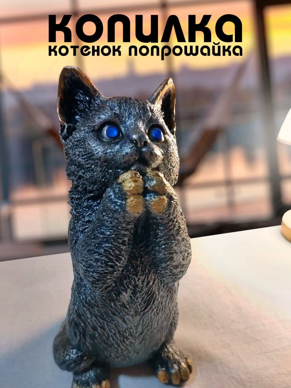 Кот попрошайка