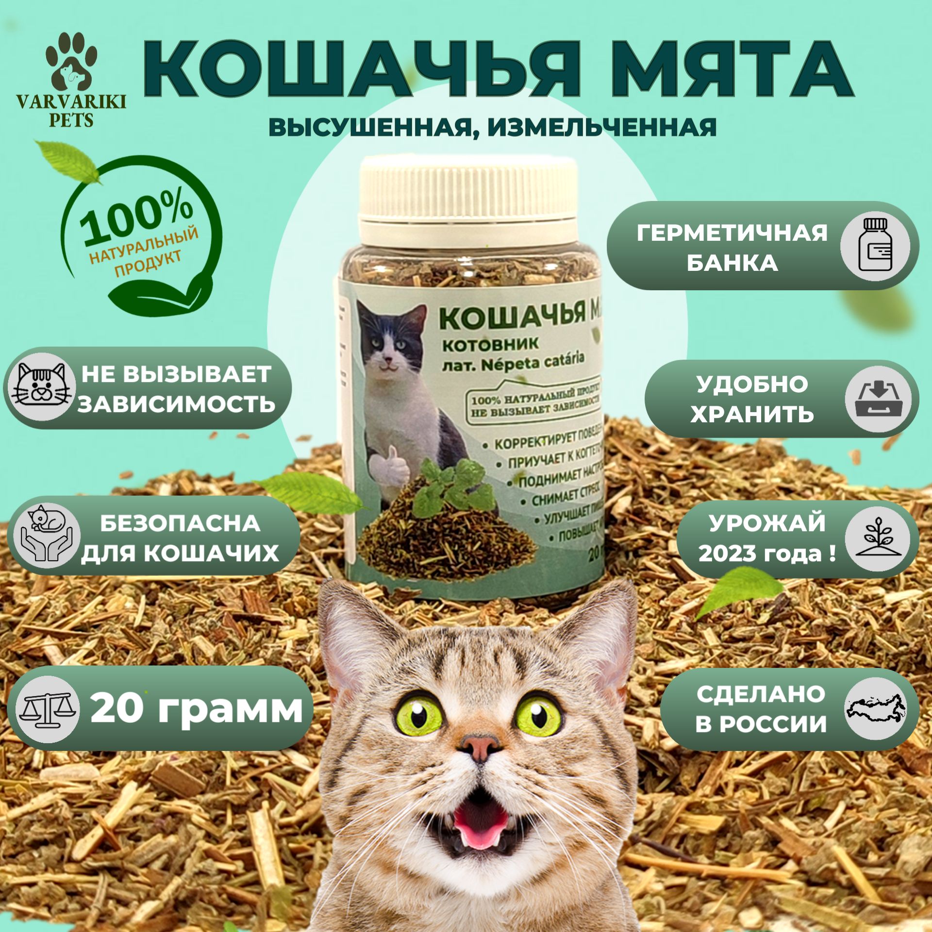 Кошачья мята котовник трава для кошек и котов сушеная измельченная в банке  20 грамм. Лакомство для коррекции поведения, успокоительное для кошек. -  купить с доставкой по выгодным ценам в интернет-магазине OZON (1327468014)