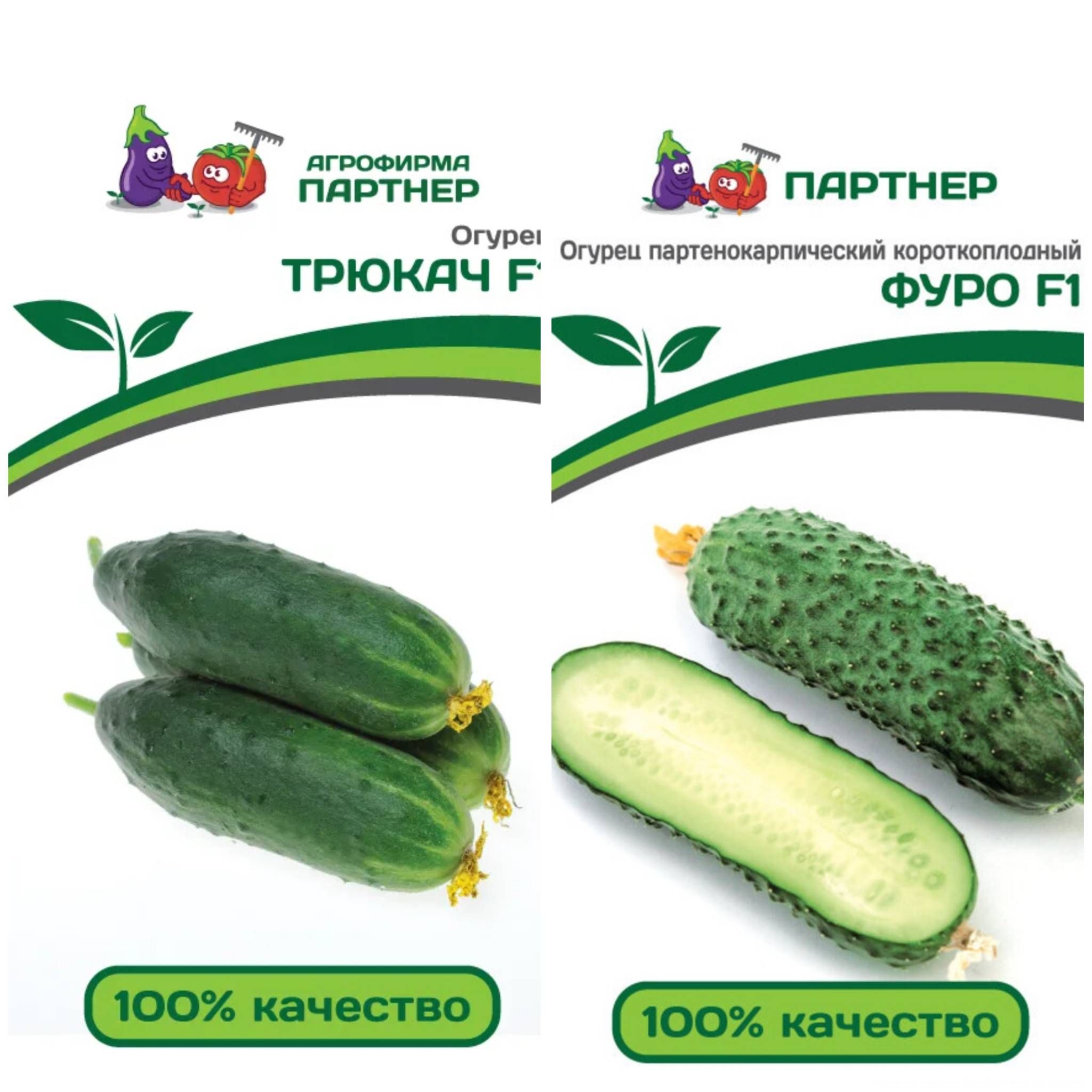 Где Купить Семена Огурцов Трюкач