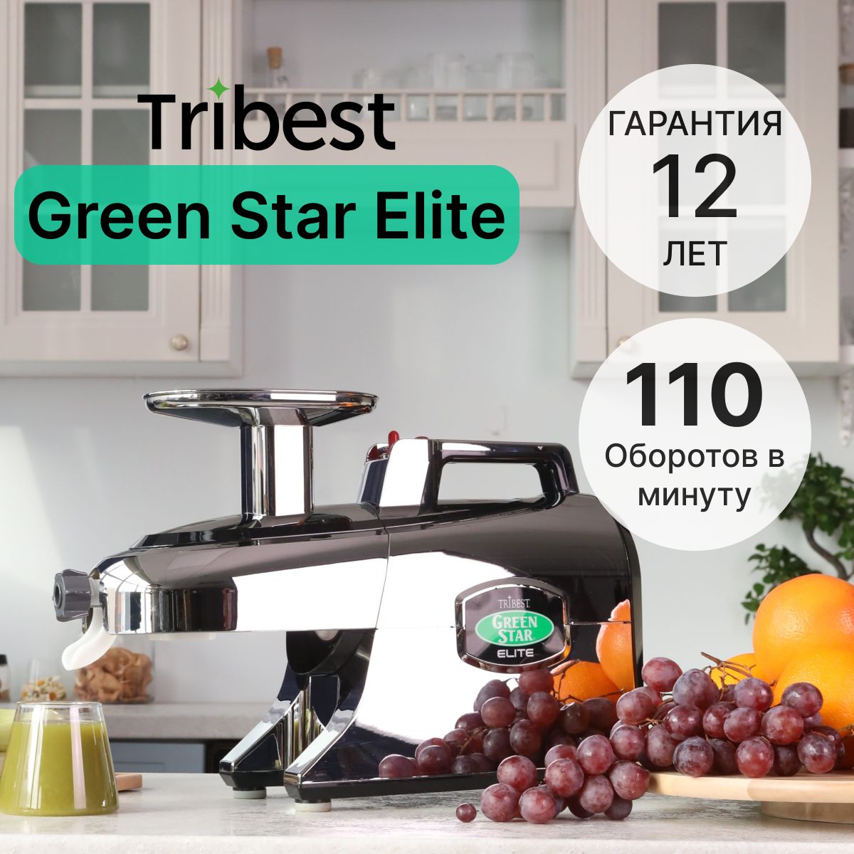 Соковыжималка шнековая Tribest Green Star Elite, серебристый - купить по  низкой цене в интернет-магазине OZON (236987588)