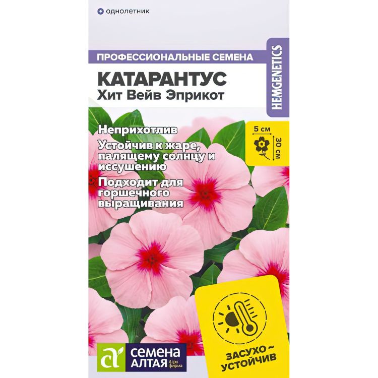 Катарантус Хит Вейв Эприкот(图1)