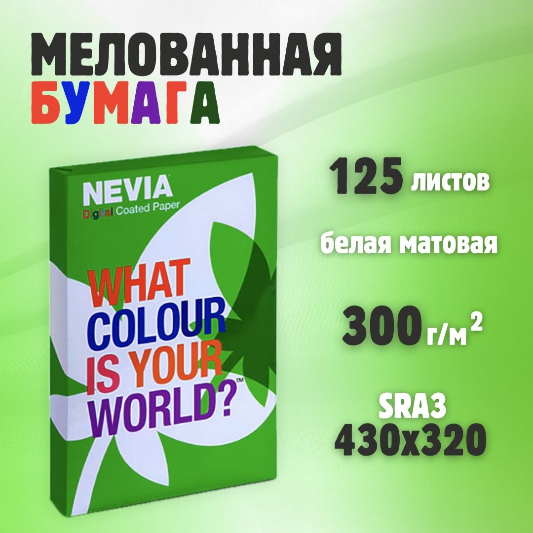 Бумага мелованная матовая NEVIA 450х320 мм (SRA3) белая 300 г/м2, 125л