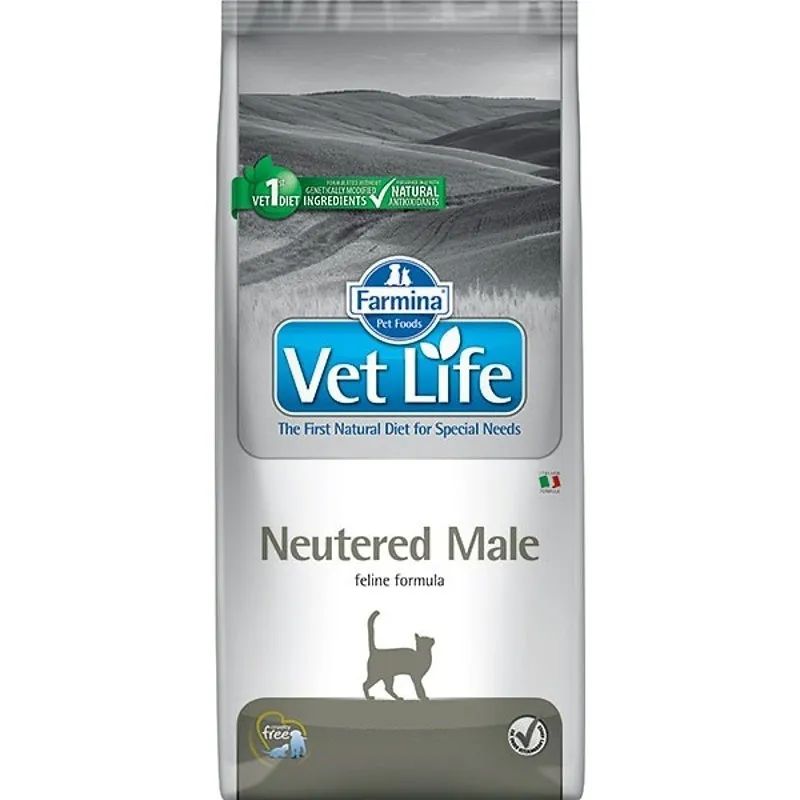 Vet life dog neutered