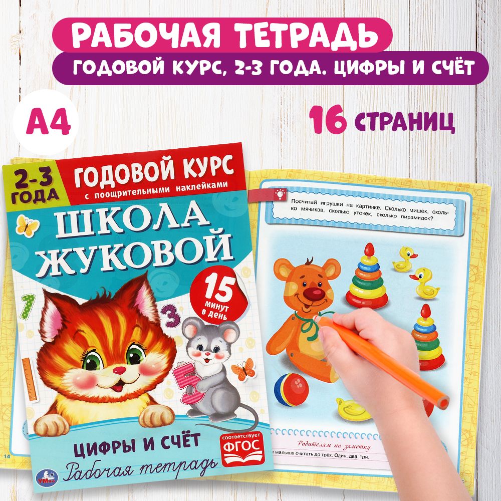 Годовой курс Школа Жуковой 2-3 года Умка / рабочая тетрадь развивашка Цифры  и счет для детей дошкольников - купить с доставкой по выгодным ценам в  интернет-магазине OZON (487421014)