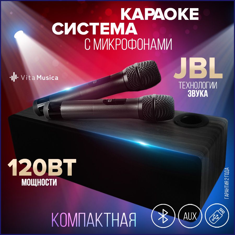 Караоке система для дома с двумя микрофонами Vita Musica