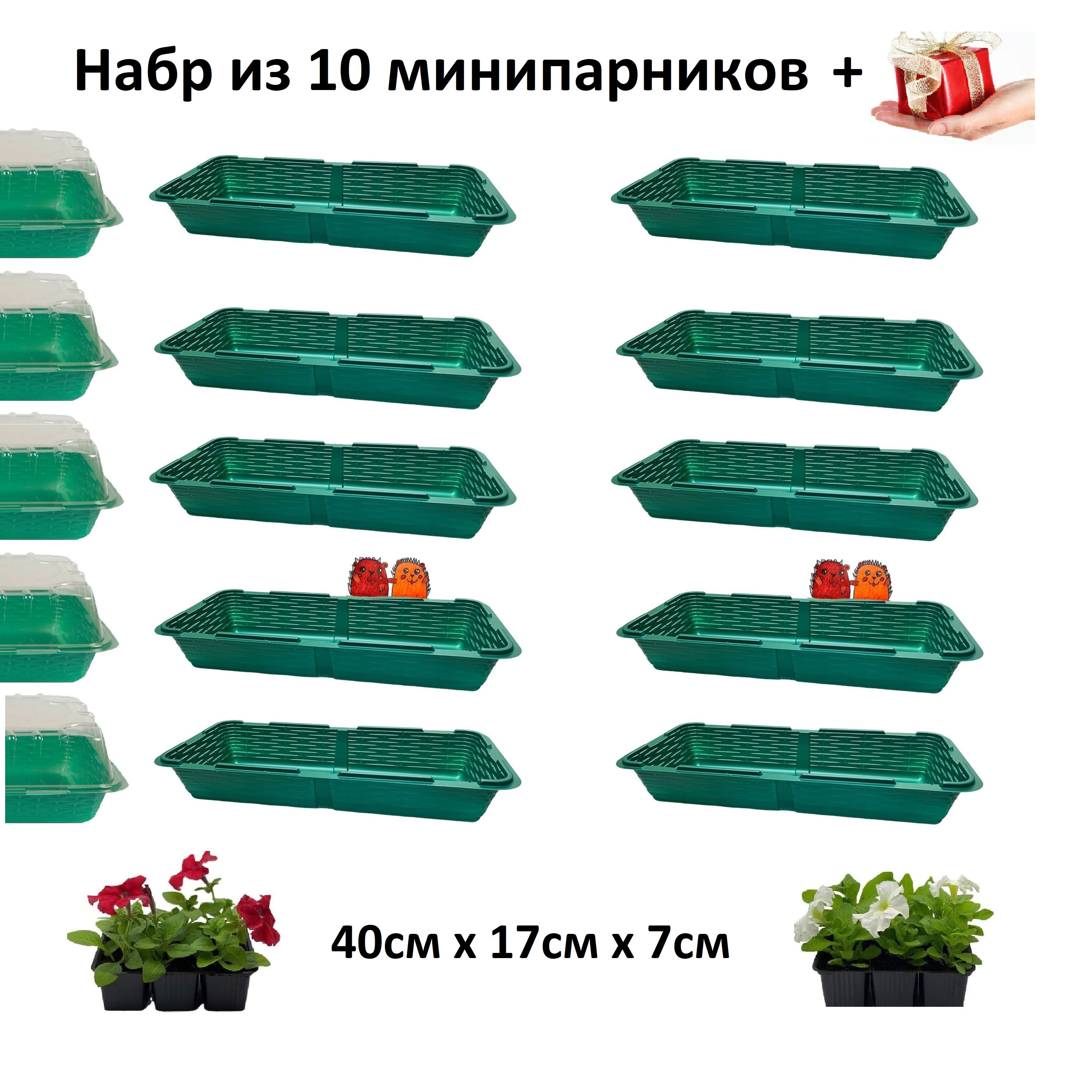 Мини-тепличка Парник 0.39х0.17х0.14м, ABS пластик