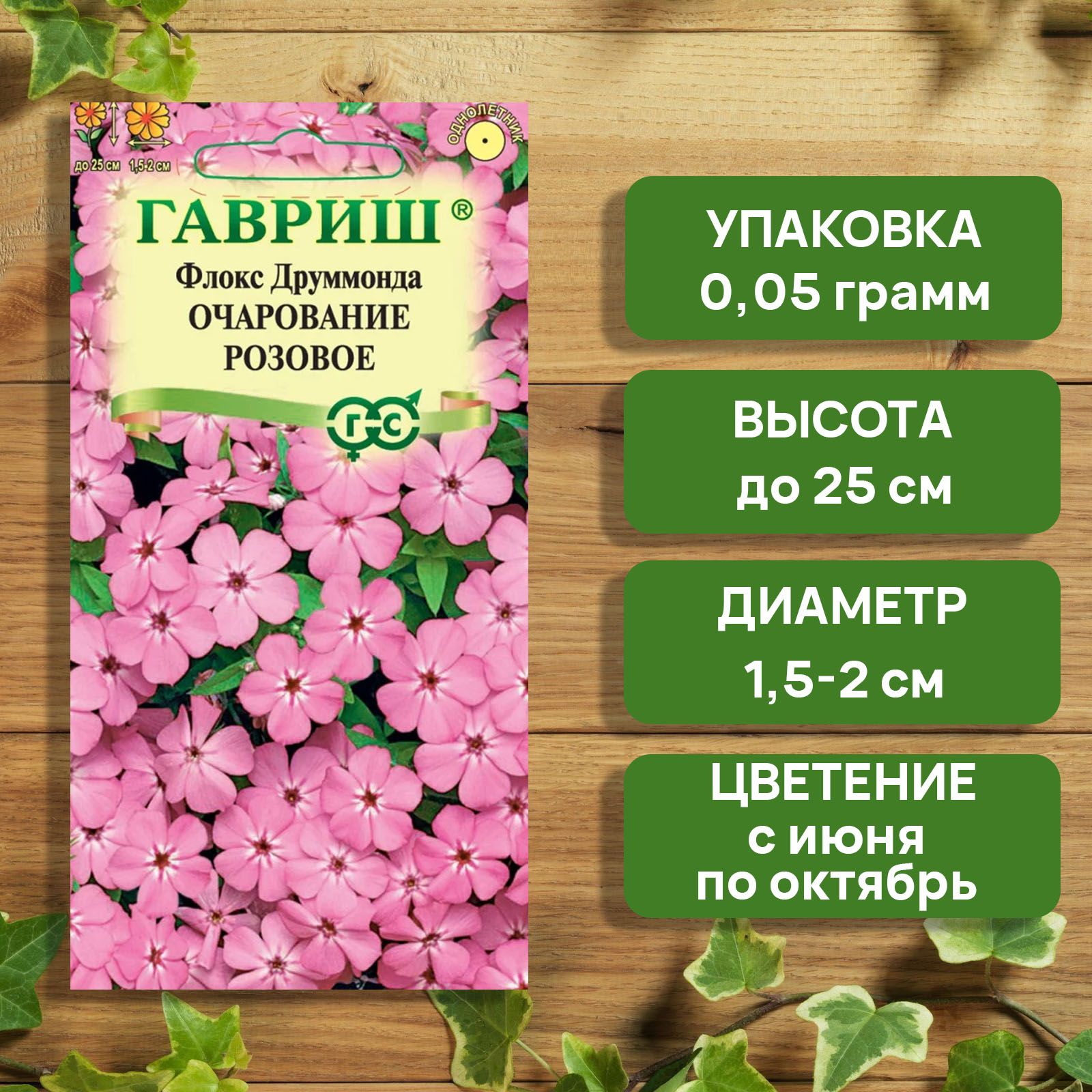 Флоксы Однолетние Купить Семена
