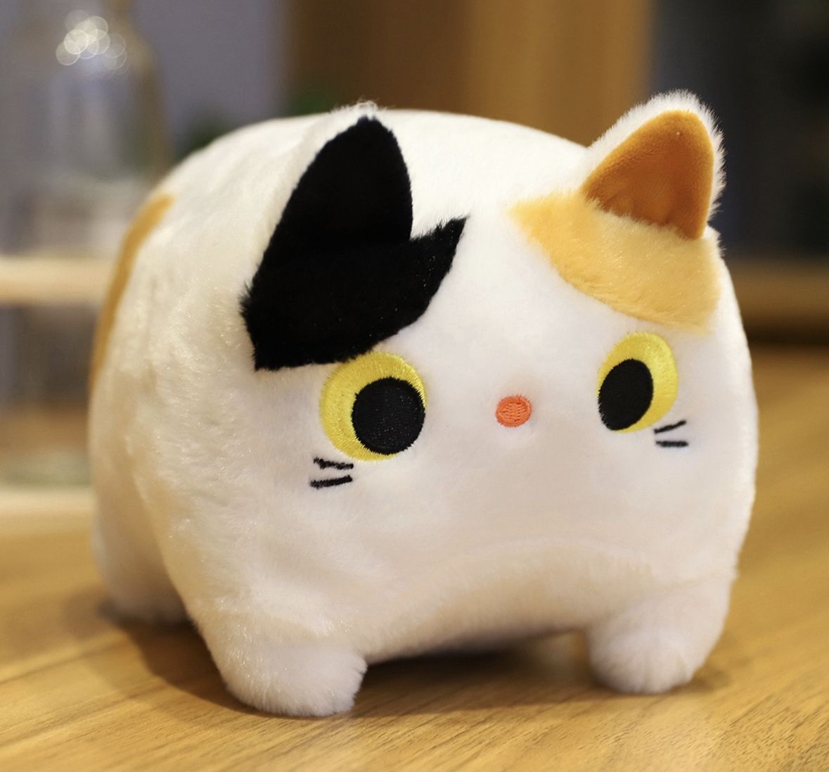 Куба котики