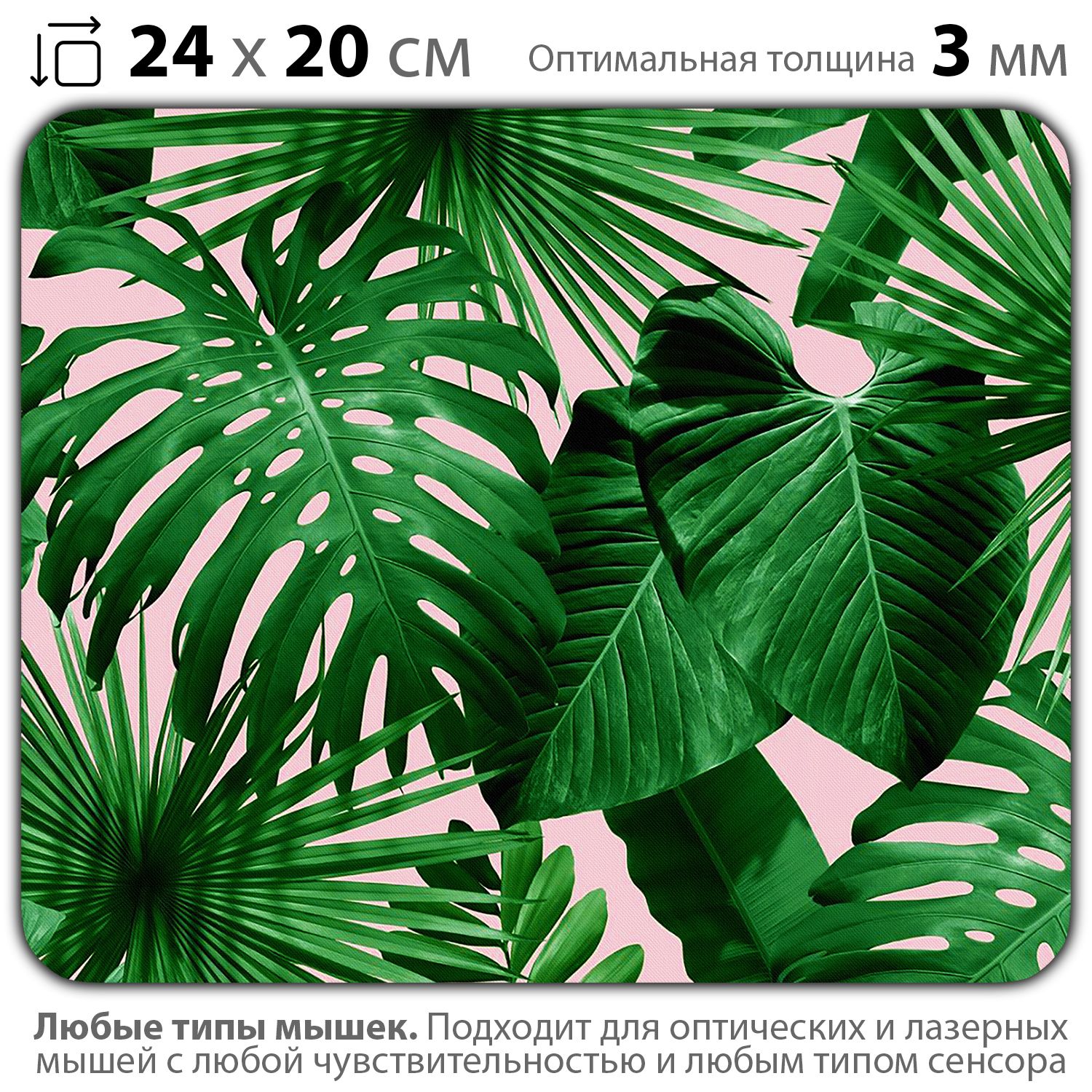 Пальмовые листья фон
