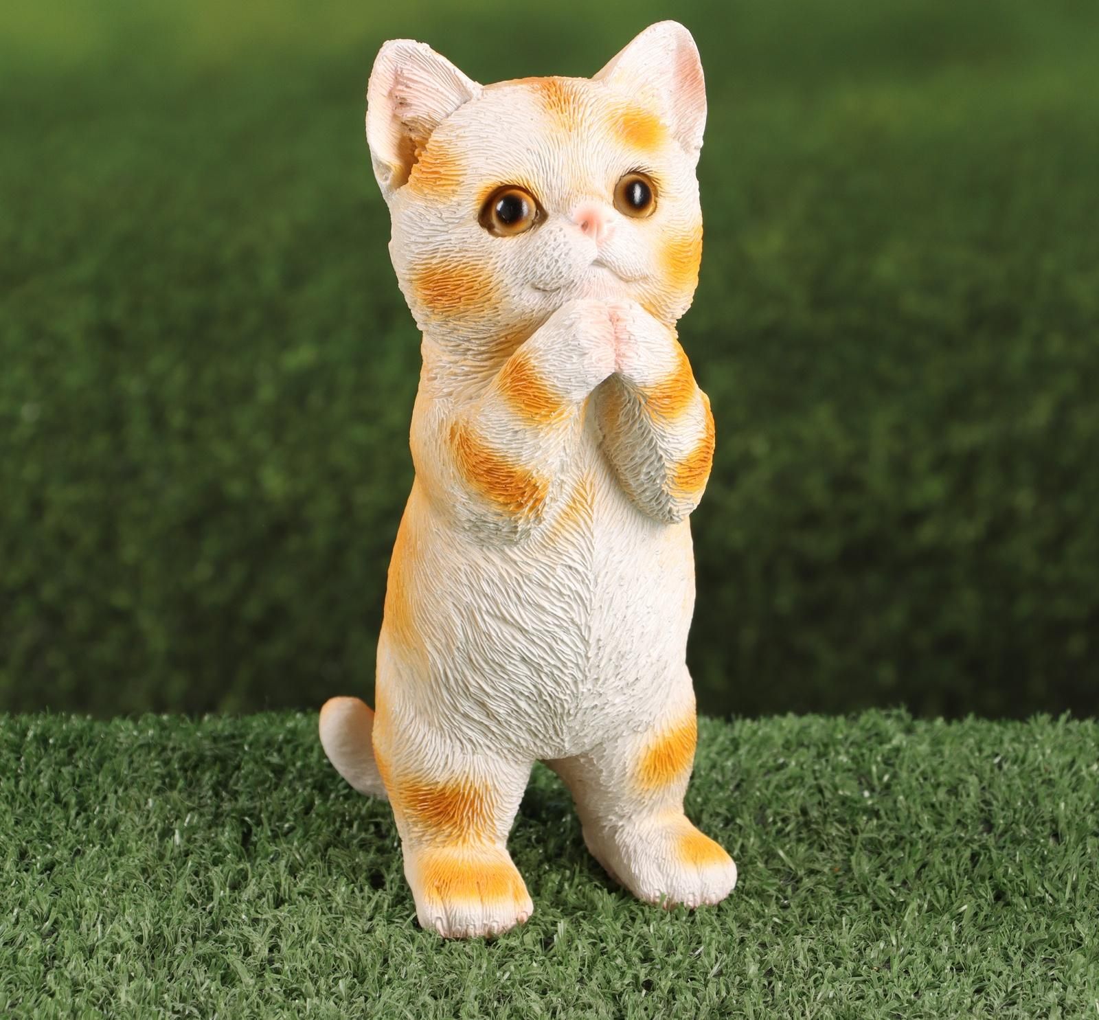 Кот попрошайка