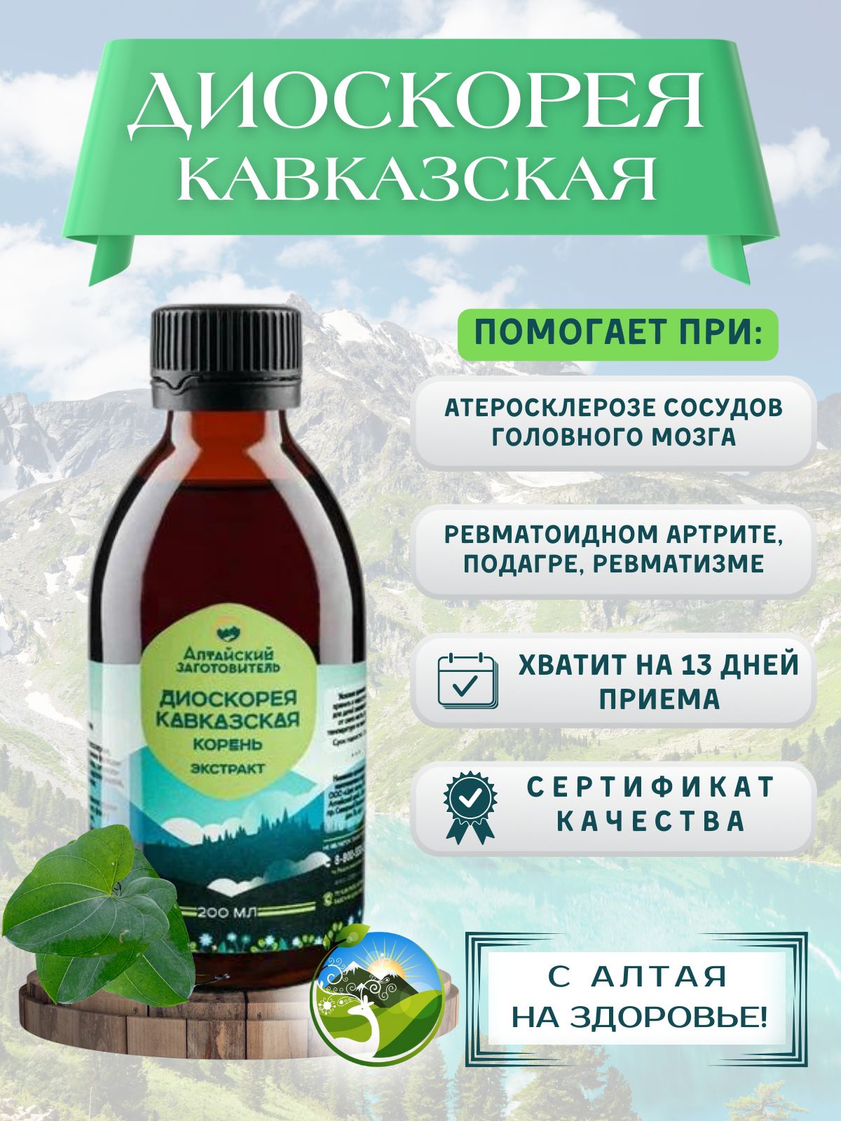 Диоскорея кавказская экстракт