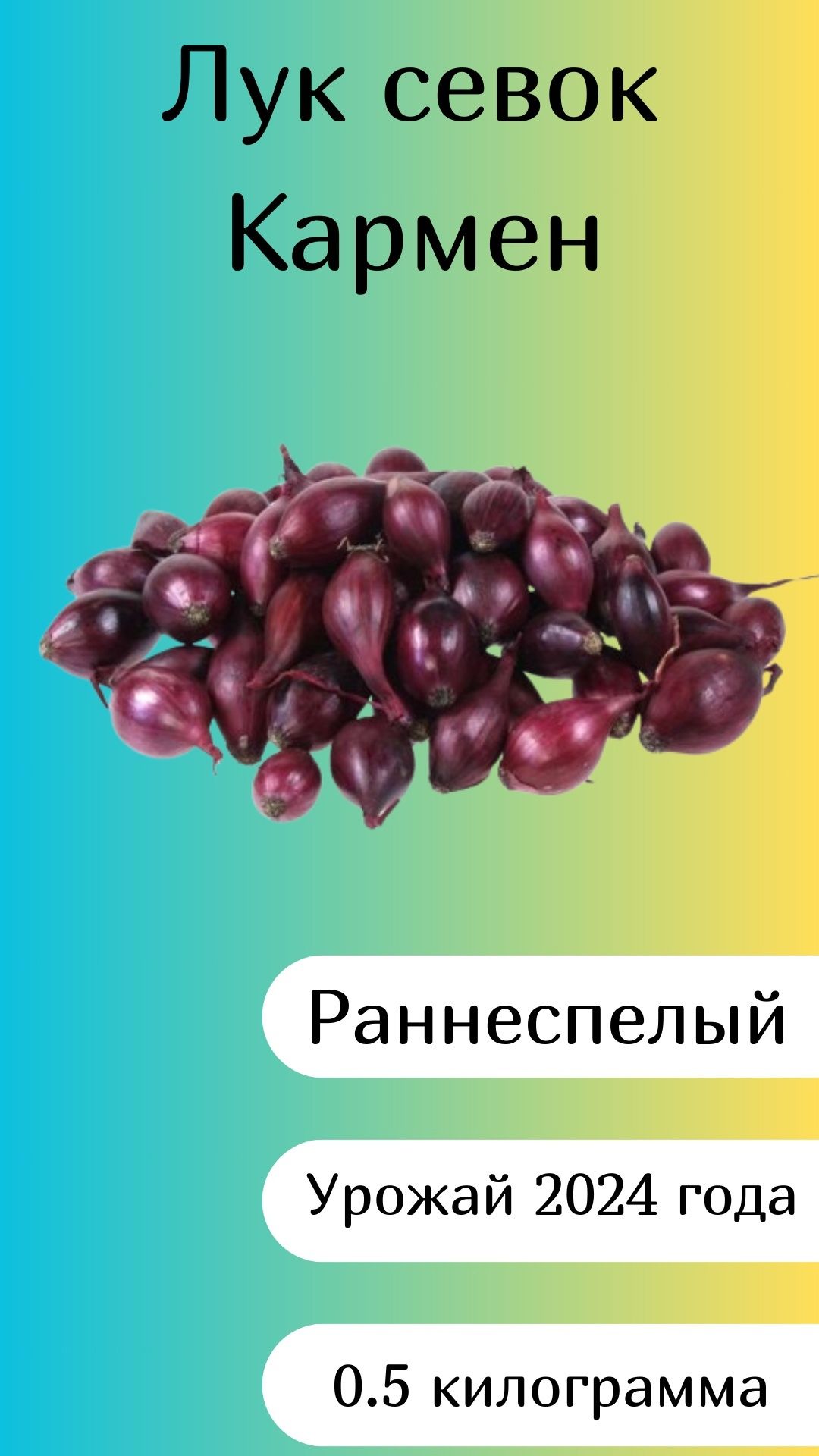 Лук-севокКармен,0.5кг