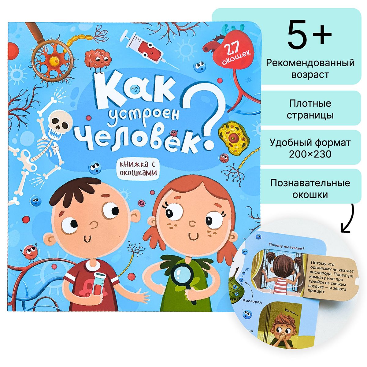 Детская энциклопедия Книжки с окошками "Как устроен человек?" Анатомия для детей Секреты человека. Книга в подарок.