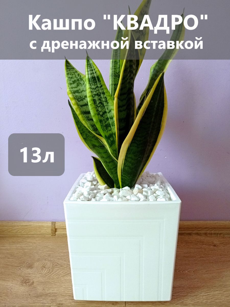 Горшок для дома...