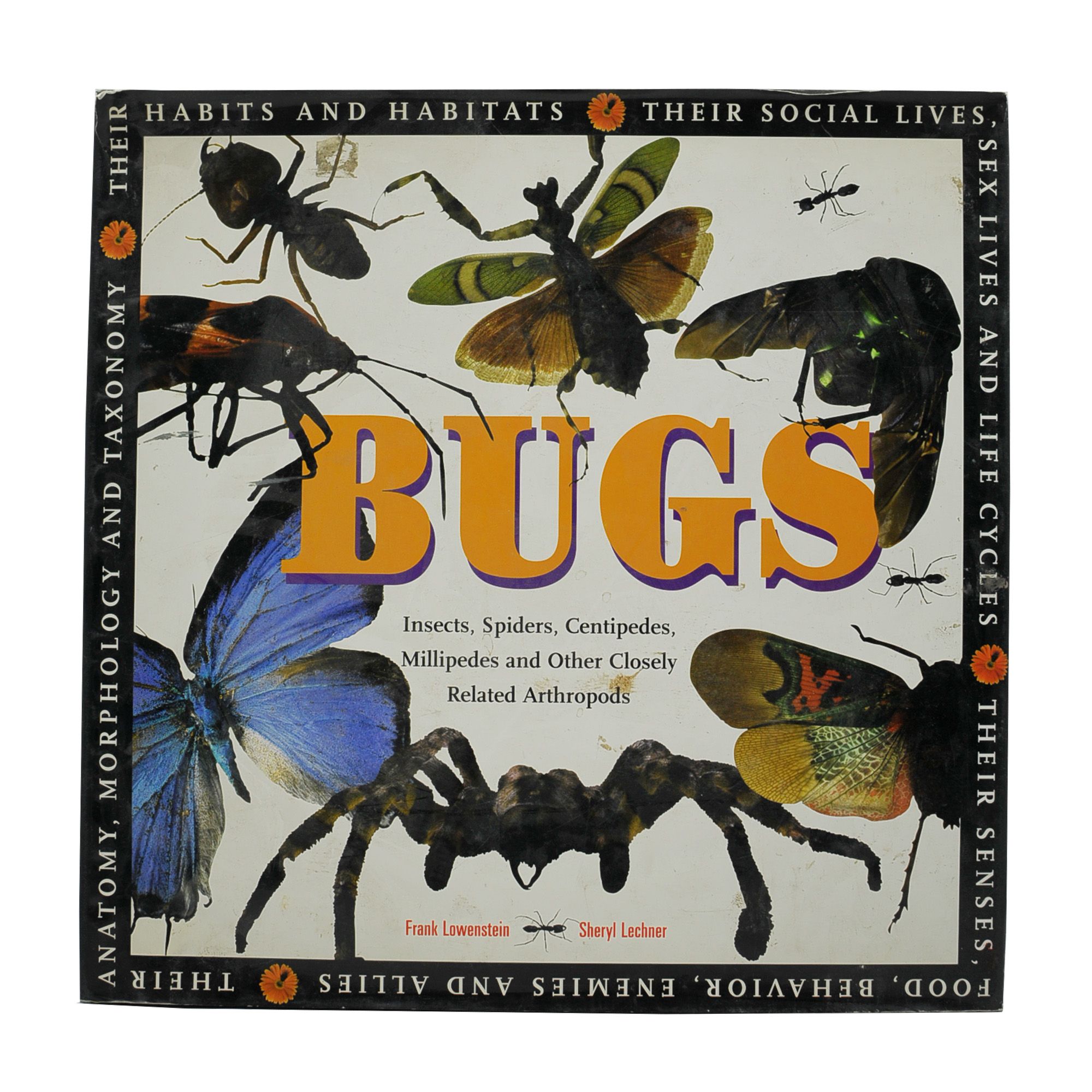 Bugs.Insects,Spiders,Centipedes,MillipedesandOtherCloselyRelatedArthropods