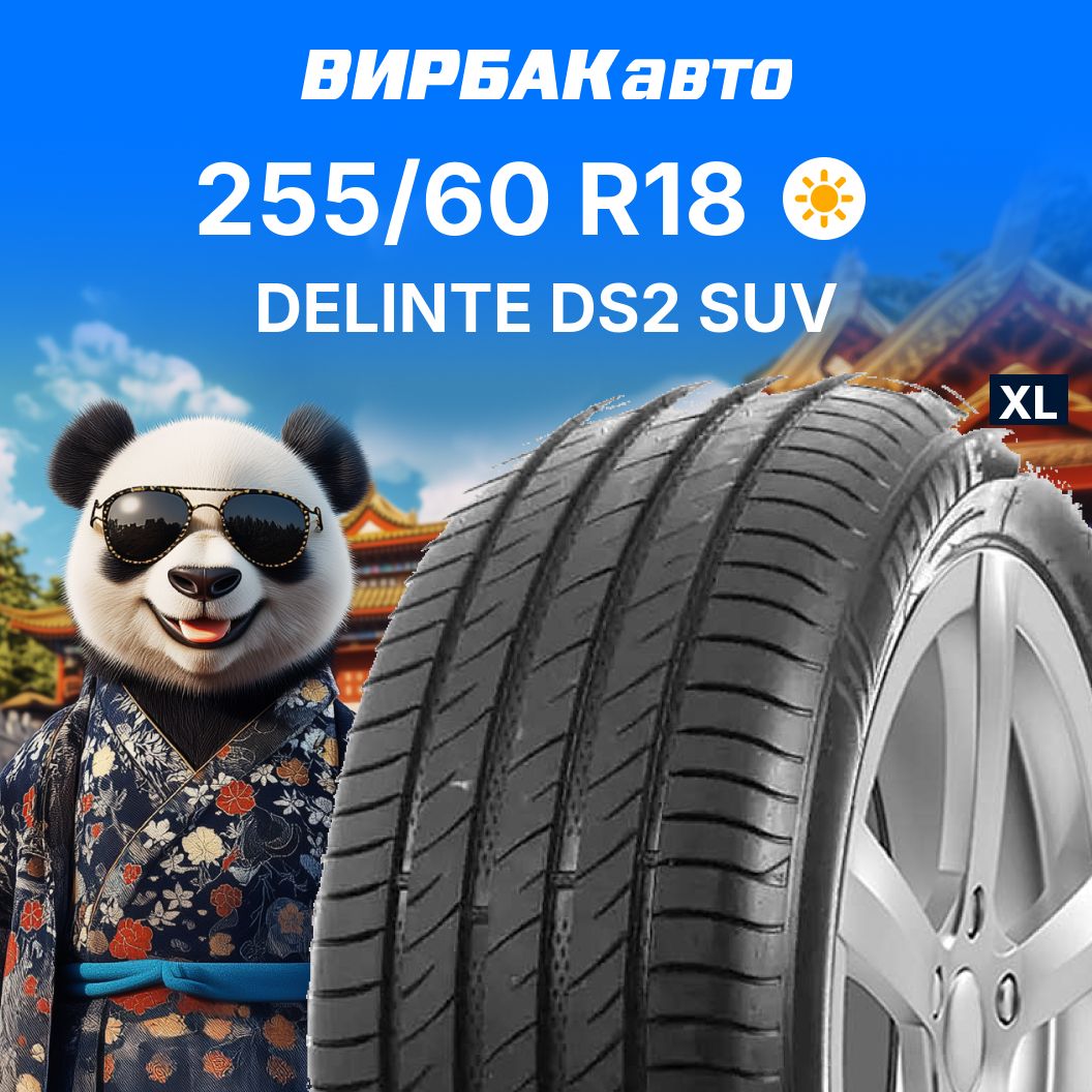 DelinteDS2SUVШинылетние255/60R18112H