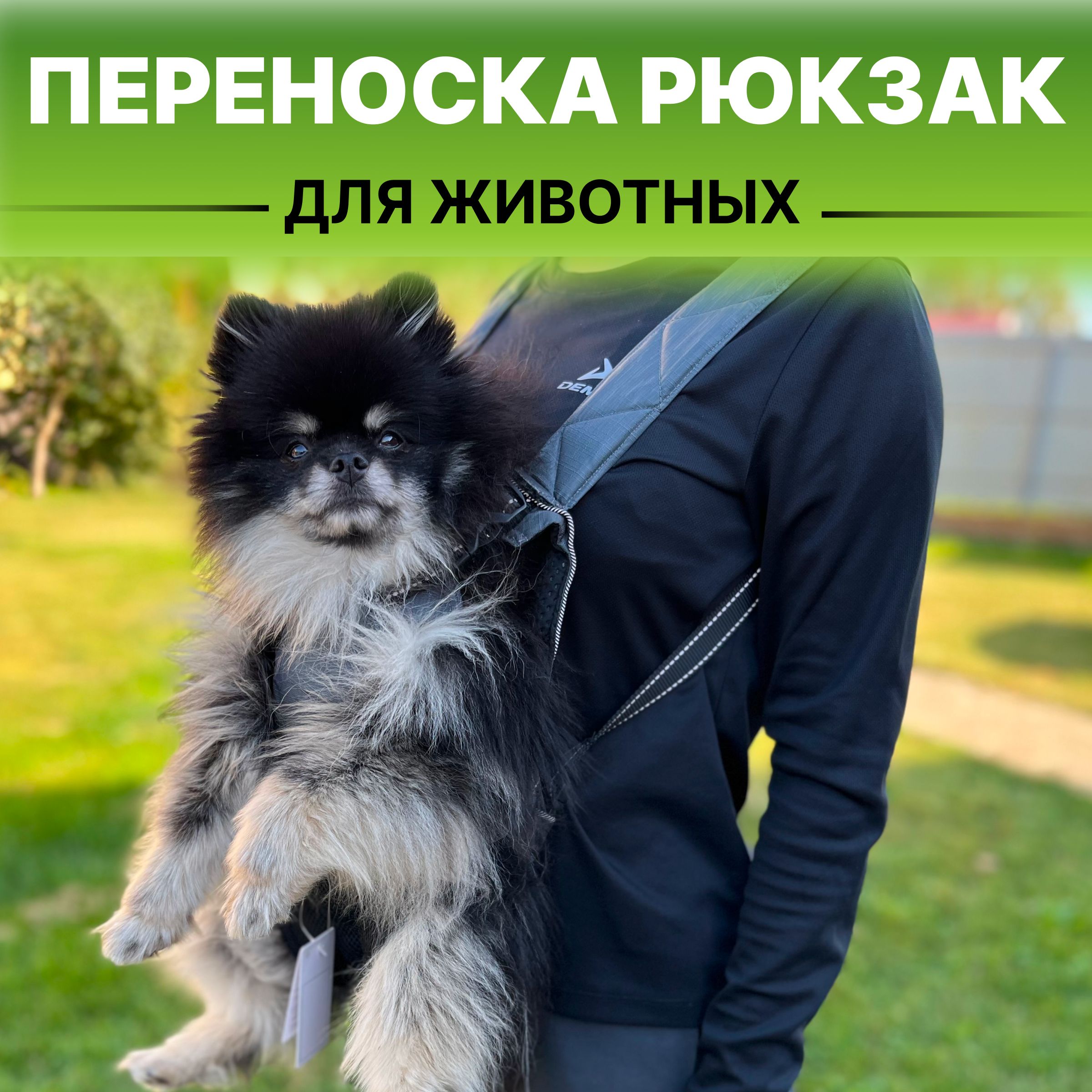 Переноска рюкзак для собак мелких и средних пород DogLemi цвет серый