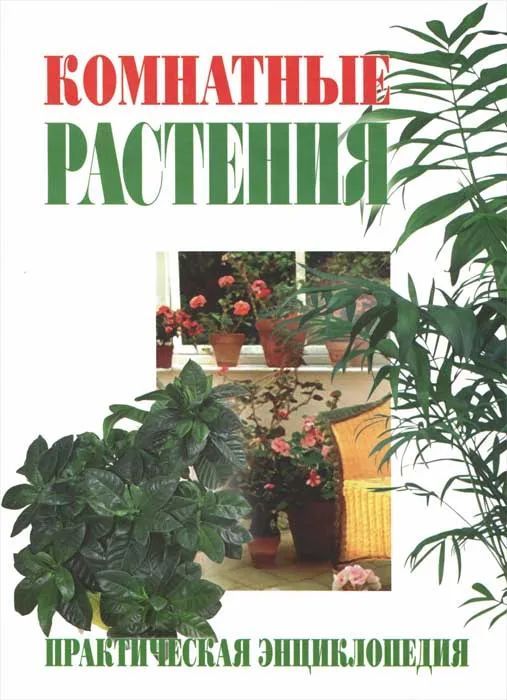 Комнатные растения | Степура Марина Юрьевна, Степура Анатолий Владимирович