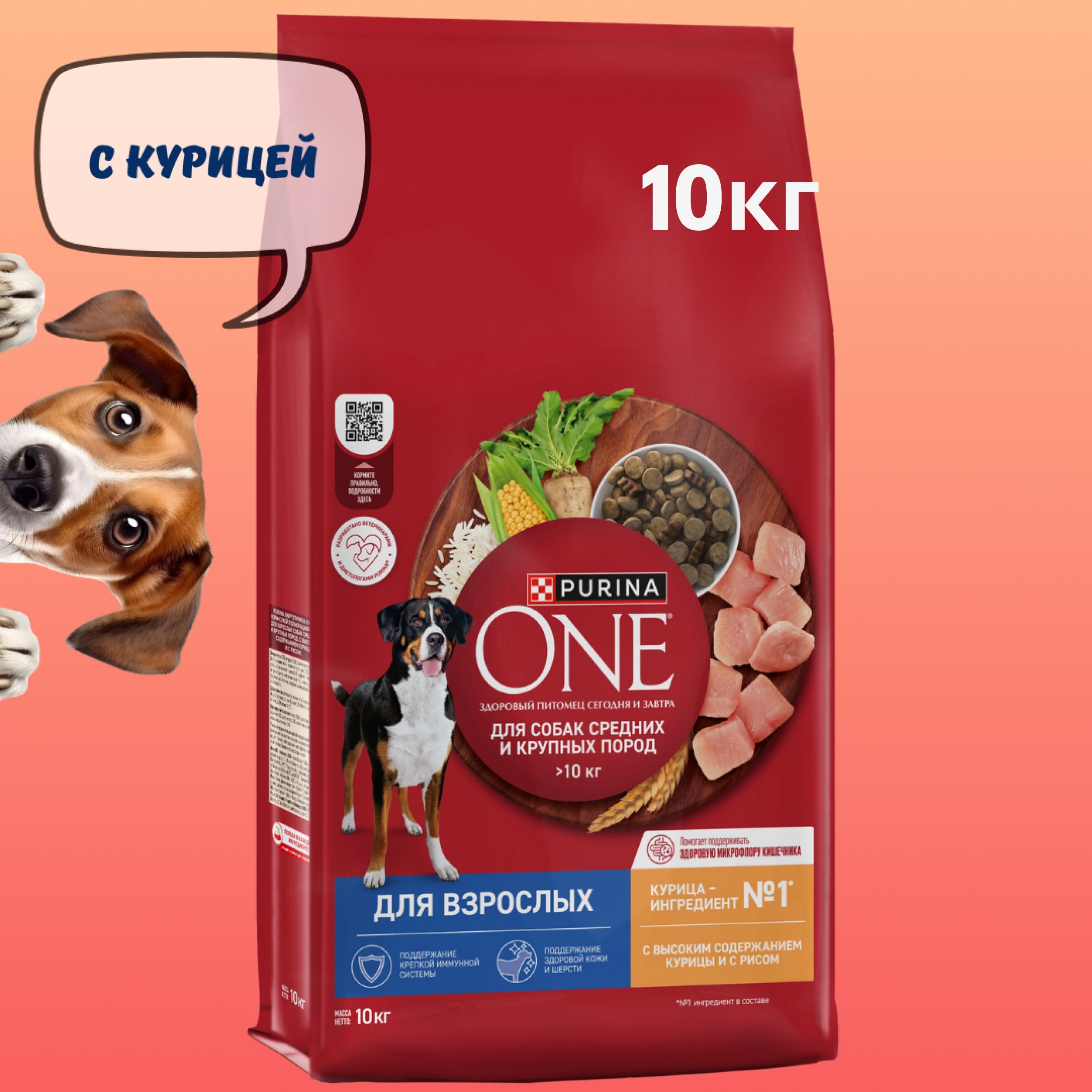 Сухой корм Purina ONE для взрослых собак средних и крупных пород, с высоким содержанием курицы и рисом. Пакет, 10 кг