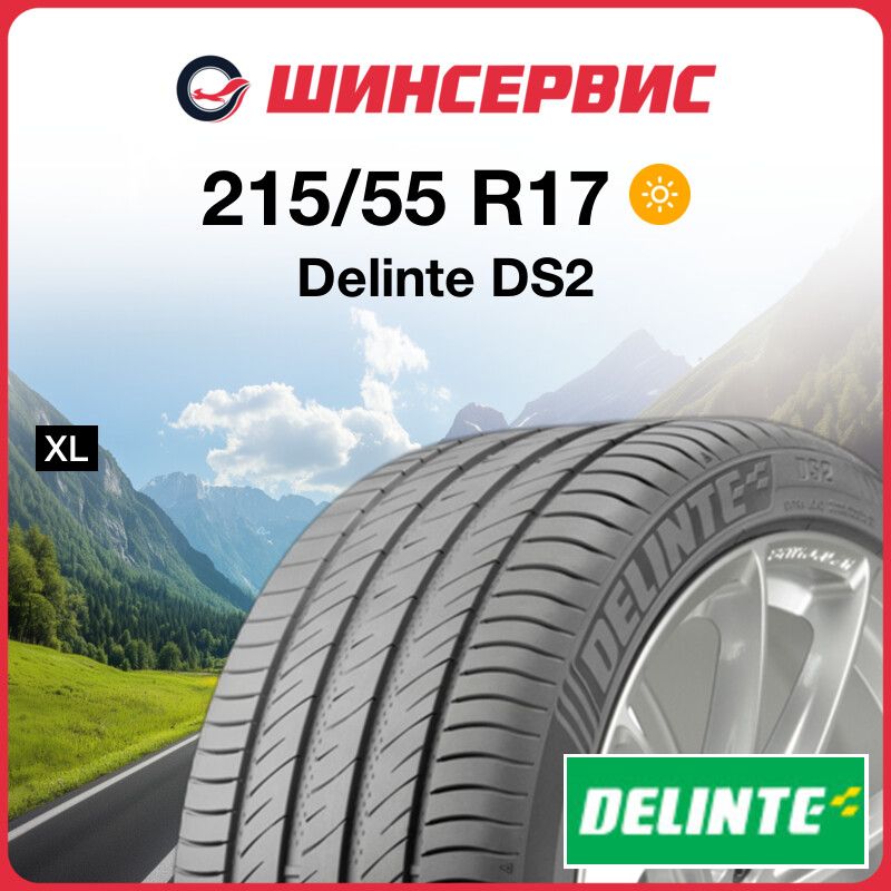 DelinteDS2Шинылетние215/55R1798W