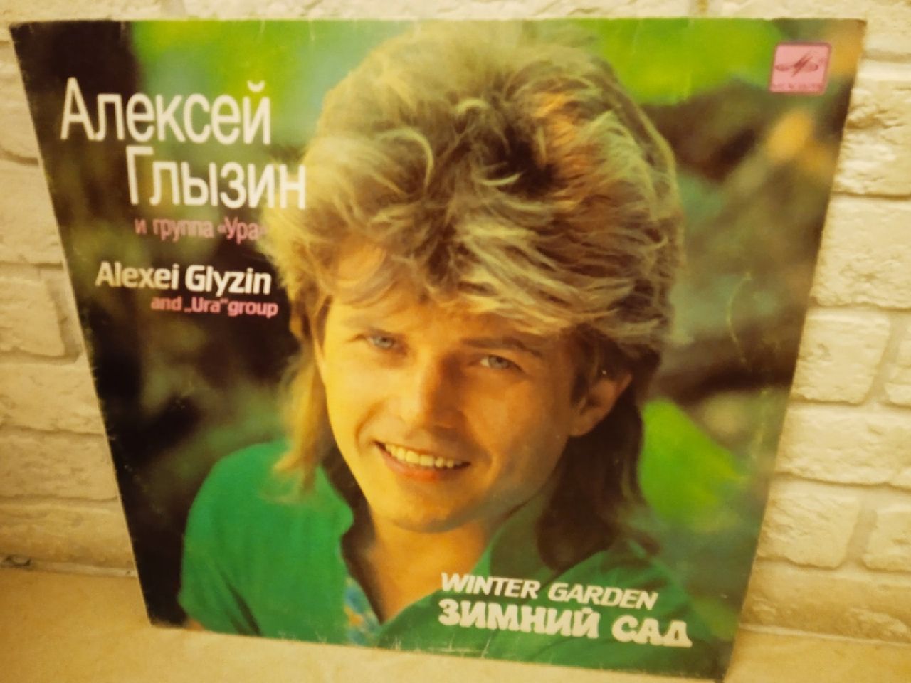 Виниловая пластинка Алексей Глызин - Зимний сад (LP)