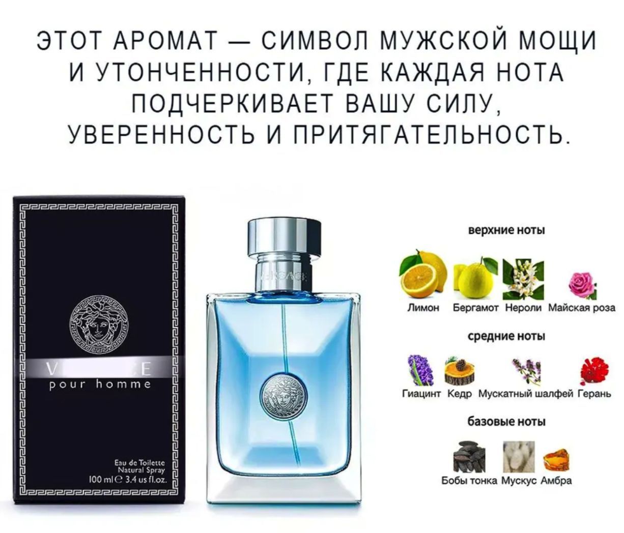 Pour Homme VERSA../ 100мл / Туалетная вода