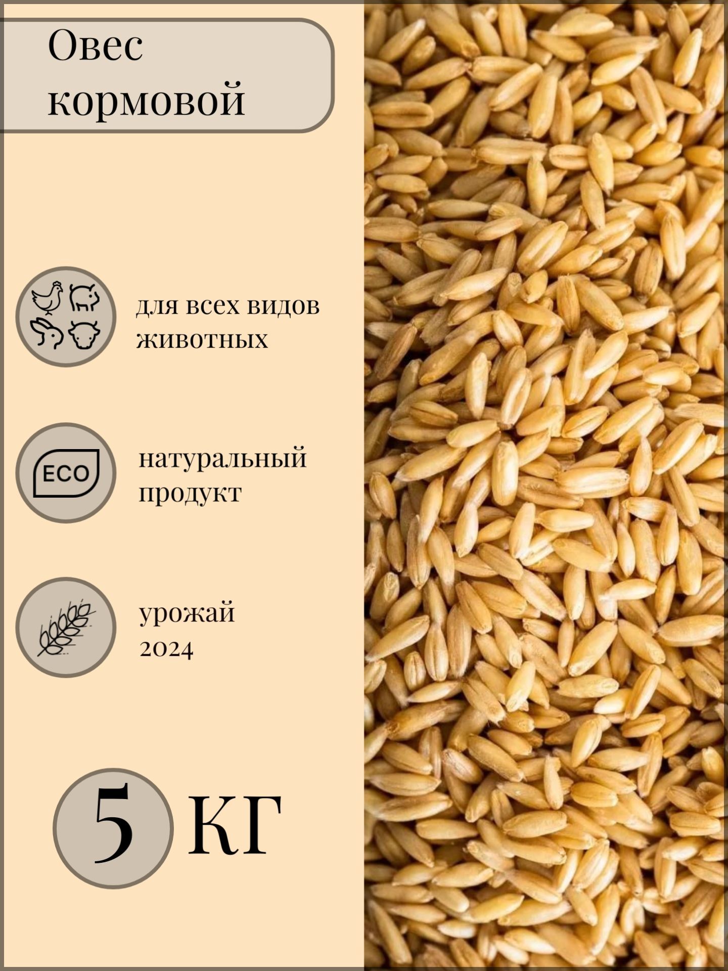 Овес фуражный 5кг. Корм для птиц, для скота. Кормовая добавка