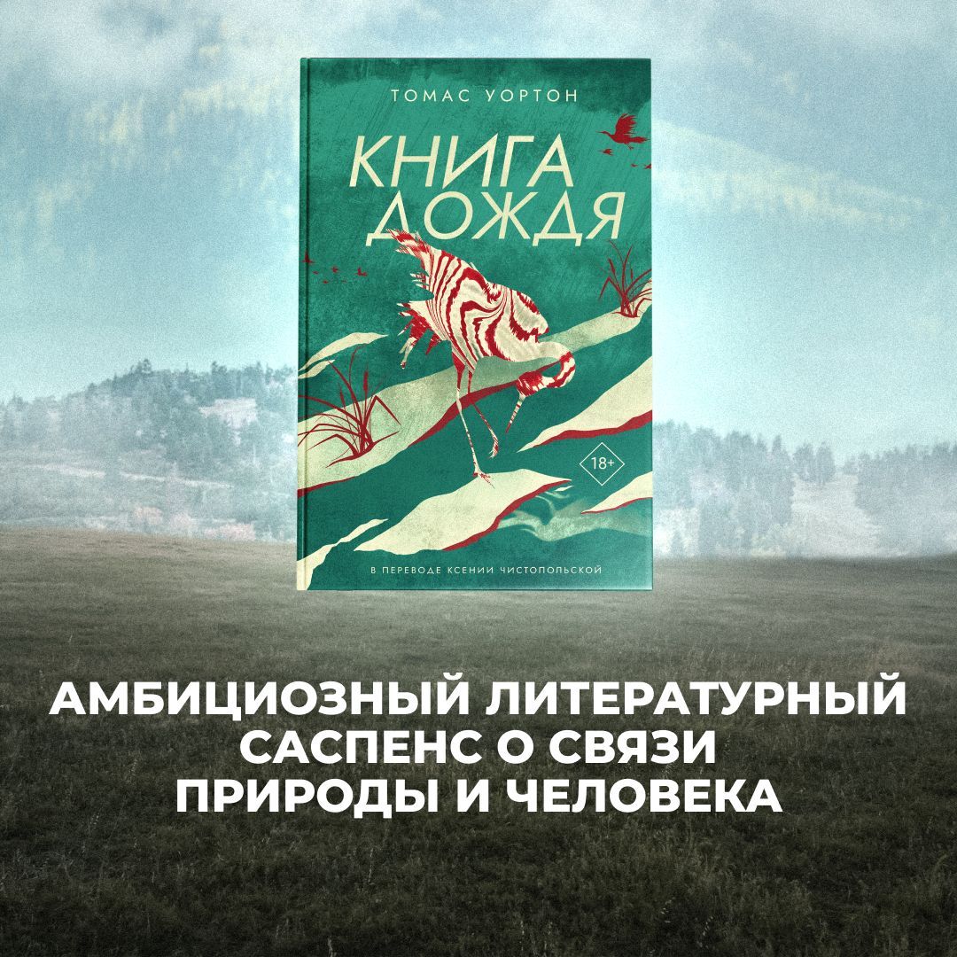 Книга дождя | Уортон Томас 