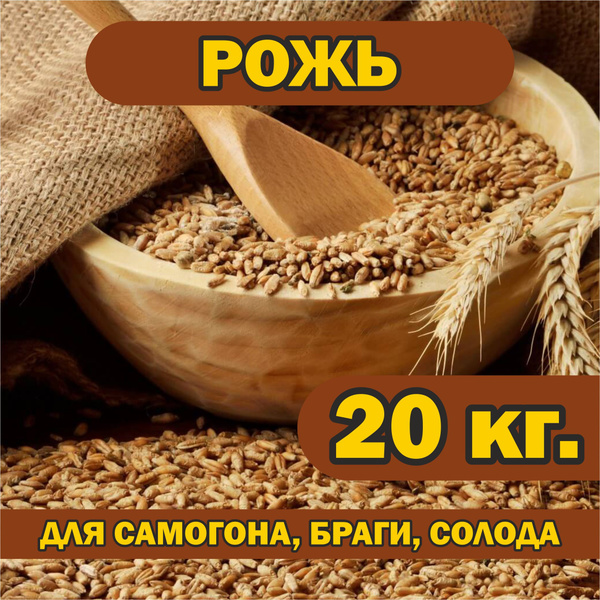 Рожь 20 кг. для самогона, браги, солода, брожения, проращивания ...