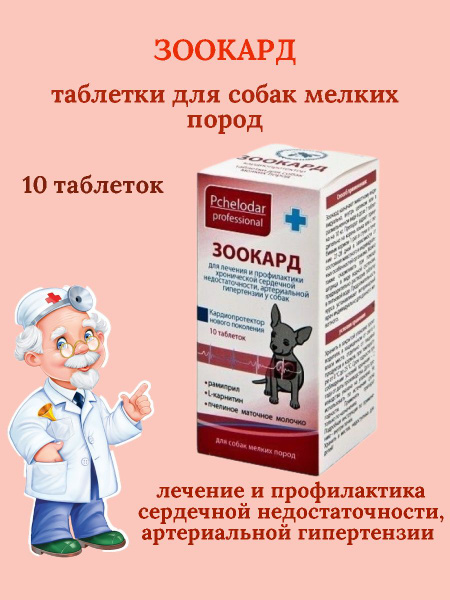 Зоокард для кошек