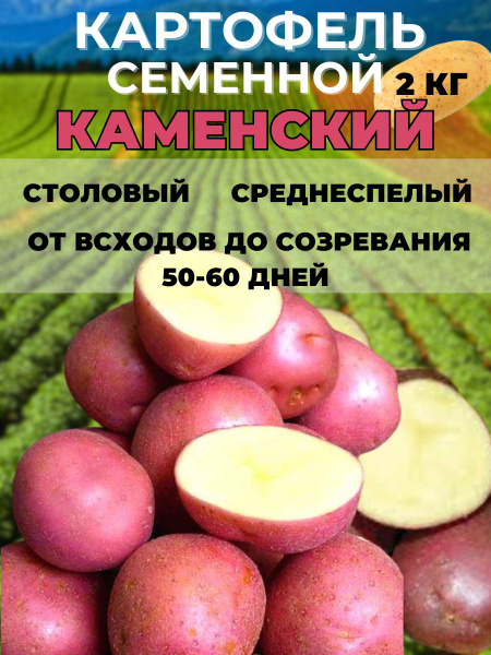 Клубни Картофель Russian Garden купить по выгодной цене в интернет ...