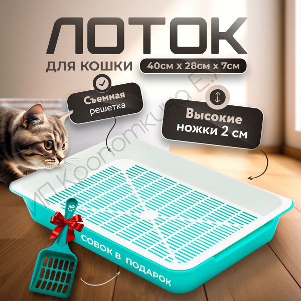 Лоток для кошек, кошачий лоток, большой - купить с доставкой по ...