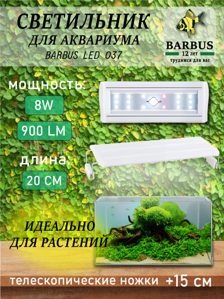20 35 BARBUS 20-35-barbus