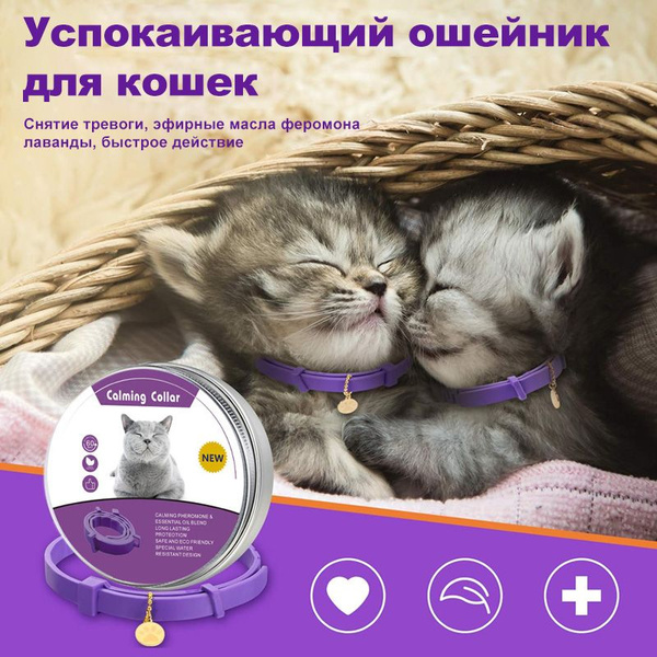 Sentry ошейник для кошек - купить с доставкой по выгодным ценам в ...