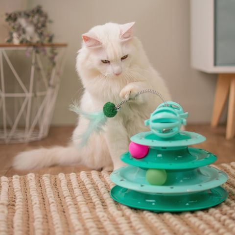 Игрушка для кошек Трек, размер трека 18х23,5 см, длина пружинки 20 см ...