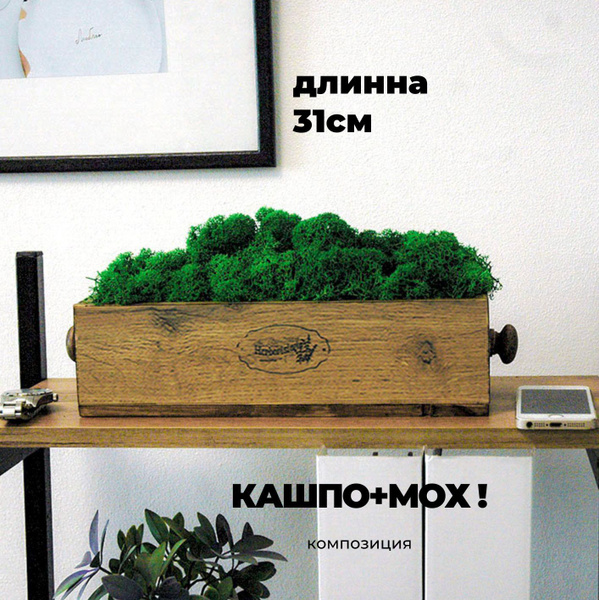 Стабилизированный мох Мох, 15 см, 400 гр, 1 шт купить по выгодной цене ...