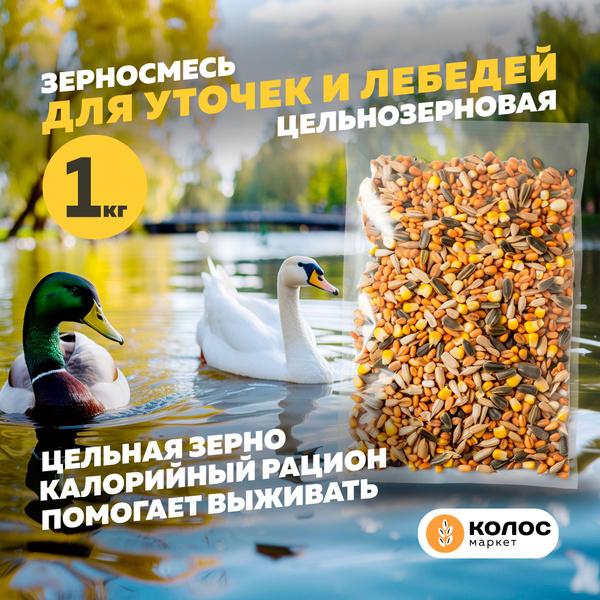 Колос Маркет, корм для уток и лебедей, зерносмесь, 1 кг купить на OZON ...
