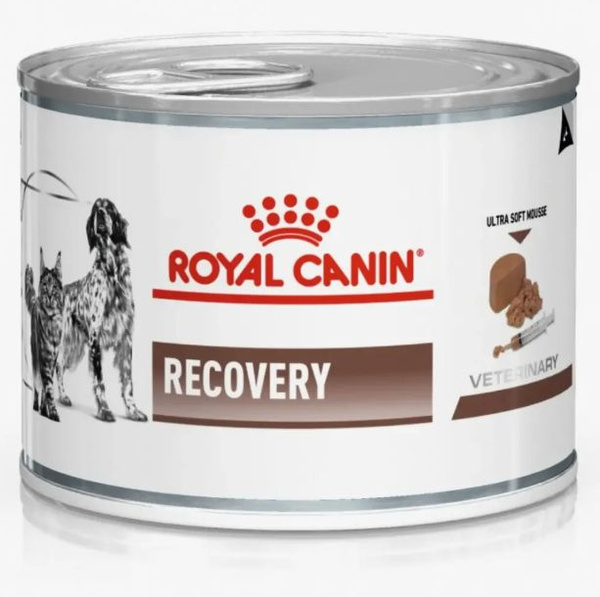 Влажный корм для собак и кошек Royal Canin Recovery в период ...