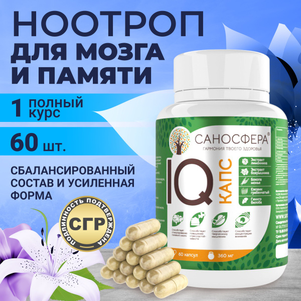 Ноотроп Ежовик гребенчатый + Гинкго-билоба + Бакопа Монье, БАД для ...