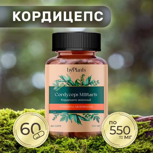 Гриб Кордицепс военный, плодовые тела + мицелий 50х50%, 60 капсул / 550 ...