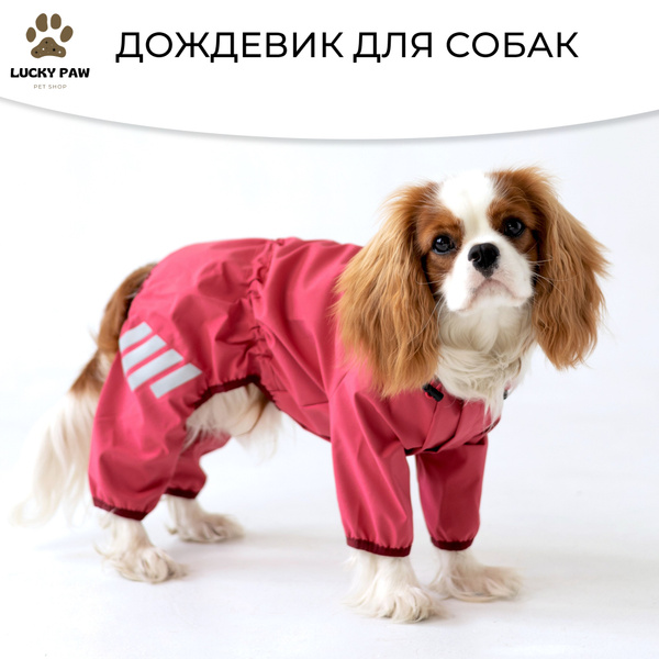Одежда для собак, дождевик комбинезон для малых и средних пород ...
