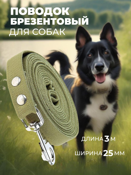 Поводок для собак брезентовый усиленный с карабином - купить с ...