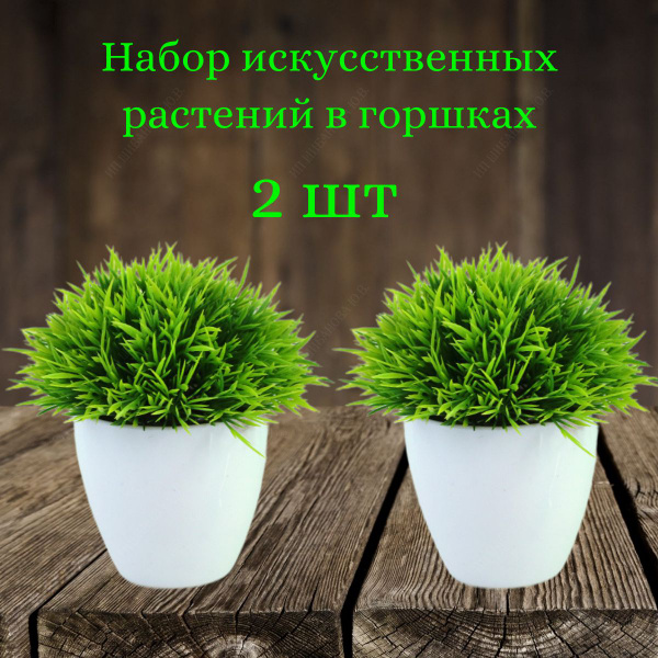 Характеристики Искусственная трава в горшках, растение в кашпо, декор ...