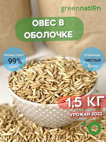 Овес в оболочке для заваривания и проращивания 1,5 кг - купить с ...