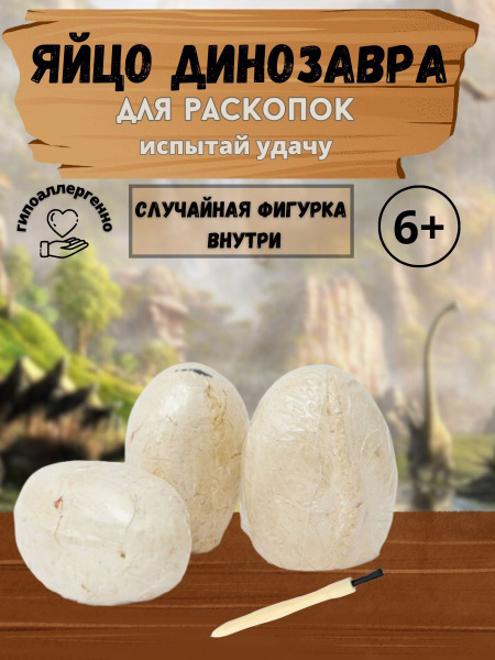 Яйцо динозавра, раскопки - купить с доставкой по выгодным ценам в ...