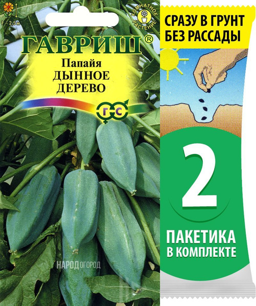 Папайя Гавриш Плодовые_Папайя Дынное Дерево - купить по выгодным ценам ...