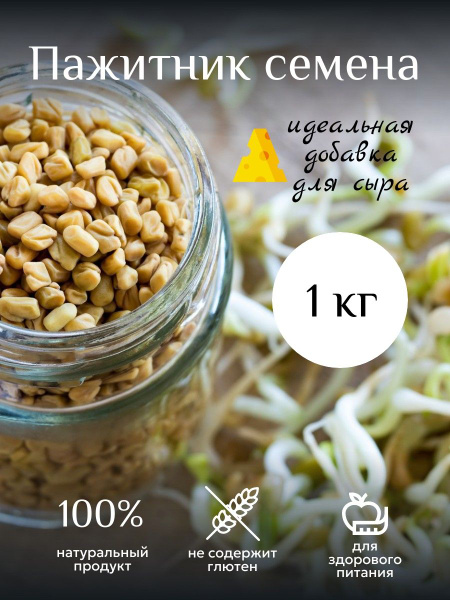 Шамбала пажитник семена для сыра и для проращивания - 1 кг / пажитник ...